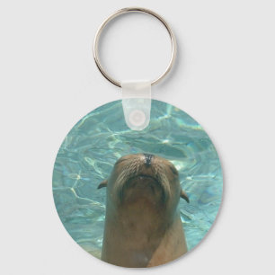 Porte-clés Lion de mer