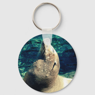 Porte-clés Lion de mer bronzant