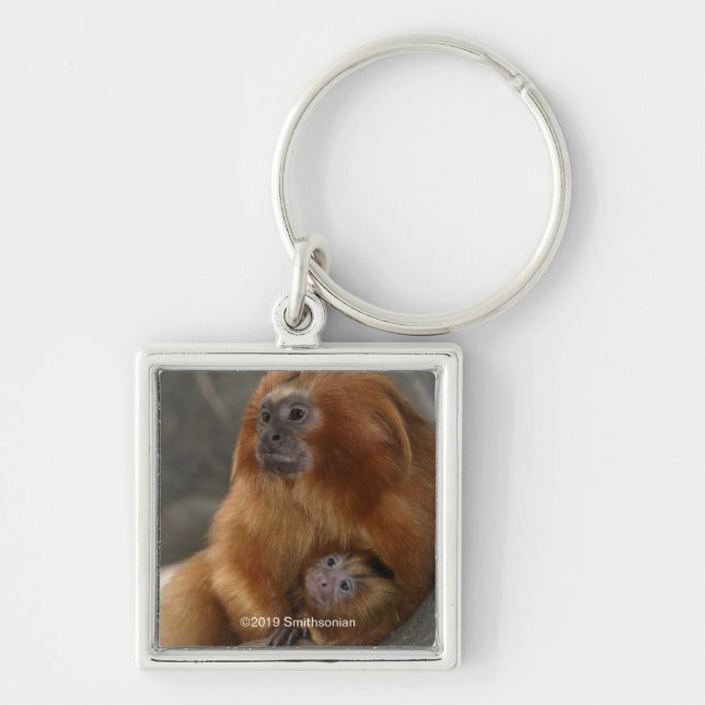 Porte-clés Lion d'or Tamarin avec bébé (Devant)