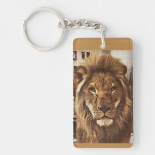 Porte-clés lion en ville