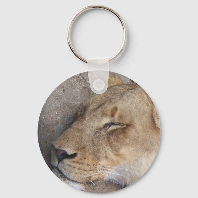 Porte-clés Lion endormie (Front)