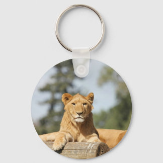 Porte-clés Lion femelle