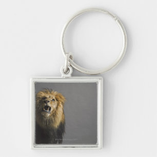 Porte-clés Lion hurlant