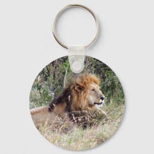Porte-clés lion paresseux