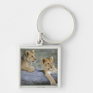 Porte-clés Lionceaux sur une bûche