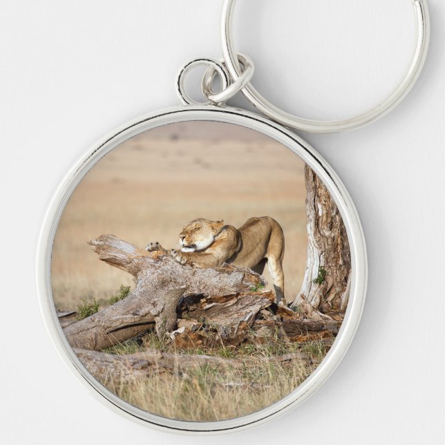 Porte-clés Lioness stretching (Devant)