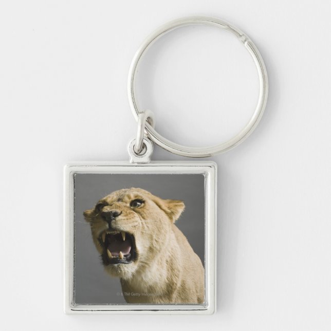 Porte-clés Lionne hurlant (Devant)