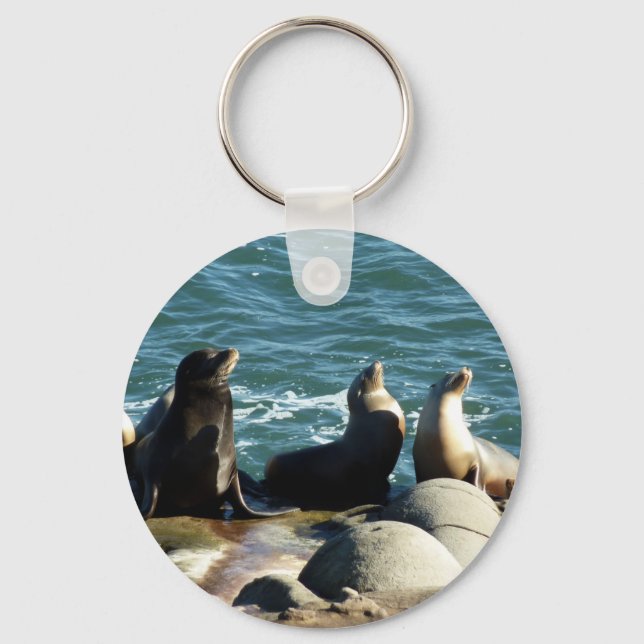 Porte-clés Lions de la mer de San Diego (Recto)