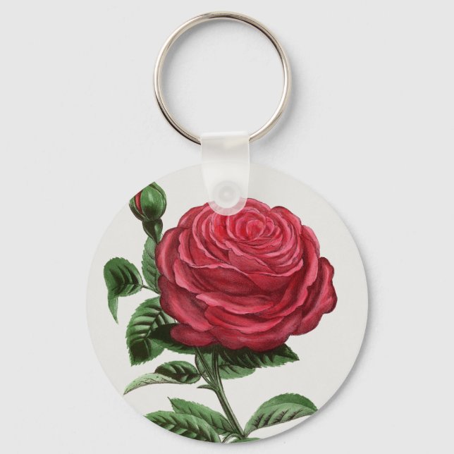 Porte-clés Lithographie de rose antique, François-Frédéric Gr (Recto)