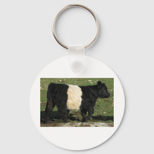 Porte-clés Little Black Beltie Calf (Recto)