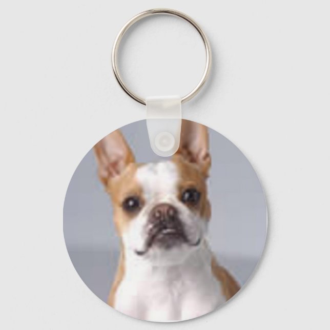 Porte-clés Little Brown Boston Terrier Porte - clé (Recto)