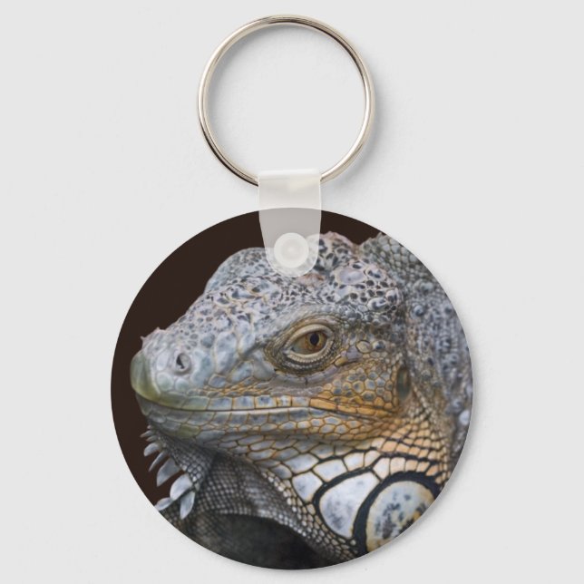 Porte-clés Little Dragon (Recto)
