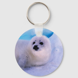 Porte-clés Little Harp Seal Pup Covered in Snowflakes
