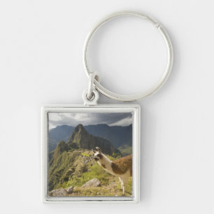 Porte-clés Llamas et vue sur Machu Picchu,