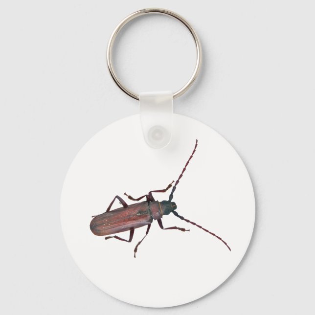 Porte-clés Longhorn Beetle Coordonner les éléments (Recto)