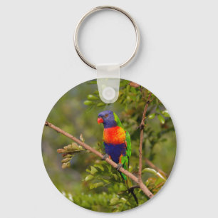 Porte-clés Lorikee arc-en-ciel