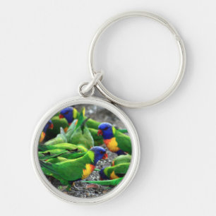 Porte-clés Lorikees arc-en-ciel australiens