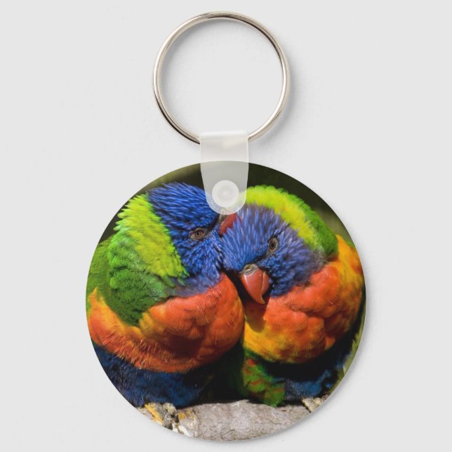 Porte-clés Lorikeets en amour (Recto)