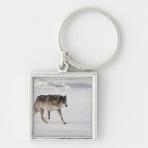 Porte-clés Loup fonctionnant dans la neige