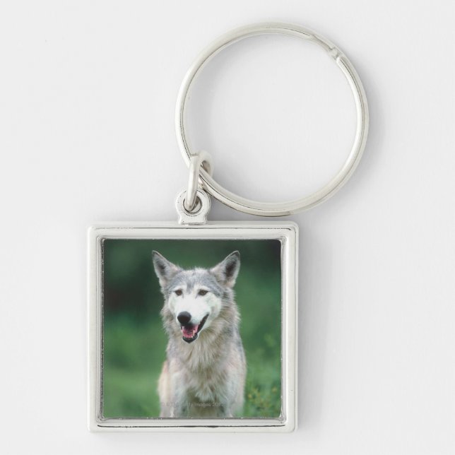 Porte-clés Loup gris (Devant)