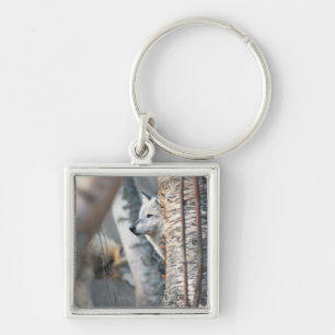 Porte-clés Loup gris derrière l'arbre