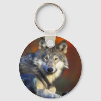Loup gris, Espèces menacées Photographie numérique