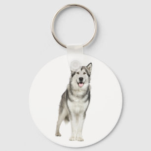 Porte-clés Love Alaskan Malamute Puppy Dog Keychain