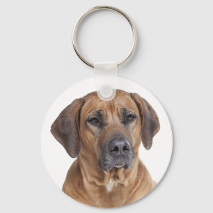 Porte-clés Love Rhodesian Ridgeback Chien Chien Porte - clé