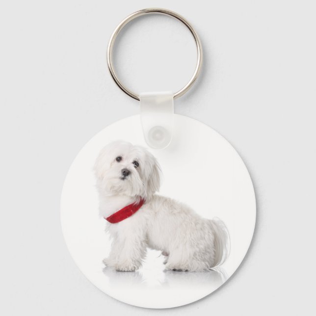 Porte-clés Love White Bichon Frise Puppy Dog Keychain (Recto)