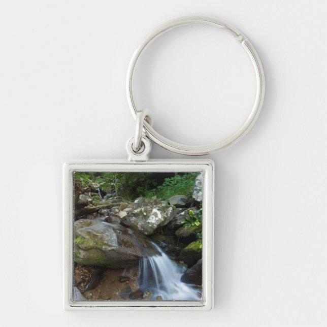 Porte-clés Lower Dark Hollow Falls, Shenandoah (Devant)
