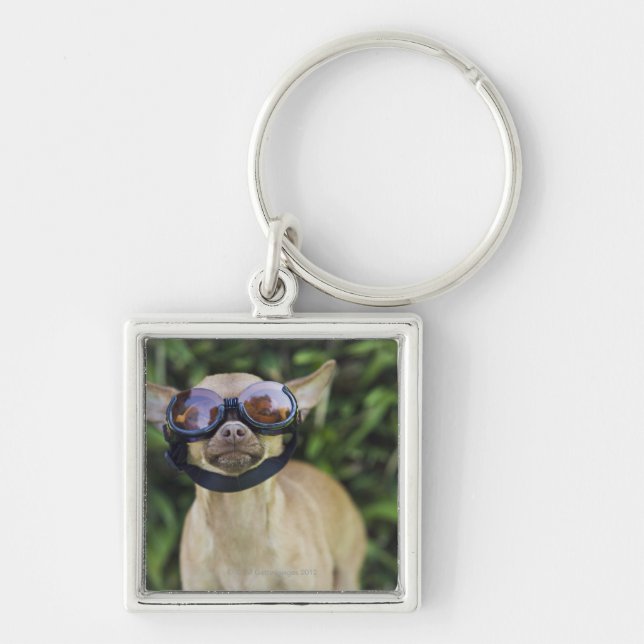 Porte-clés Lunettes de port de chiwawa (Devant)