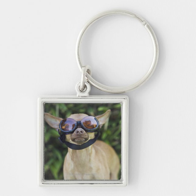 Porte-clés Lunettes de port de chiwawa (Devant)