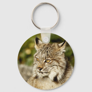 Porte-clés Lynx canadienne