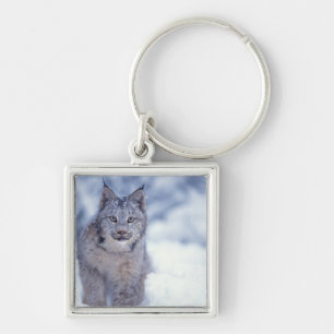 Porte-clés Lynx dans la neige au pied des collines