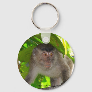 Porte-clés Macaque Monkey in rainforest Keychain