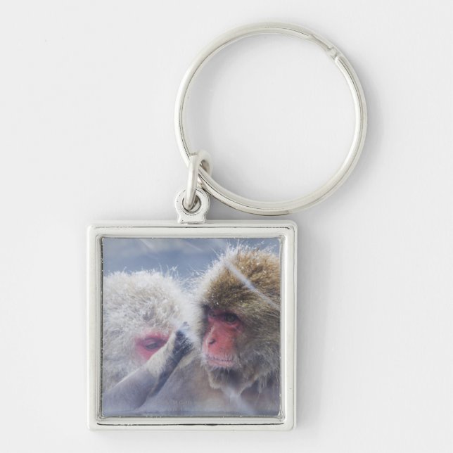 Porte-clés Macaques japonais (fuscata de Macaca) se (Devant)