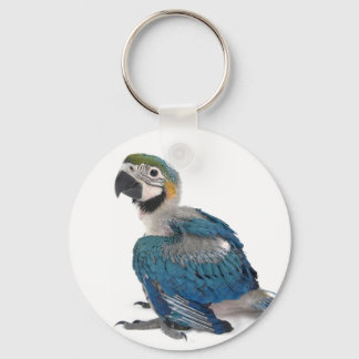 Porte-clés Macaw bleu et jaune