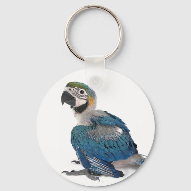 Porte-clés Macaw bleu et jaune (Recto)