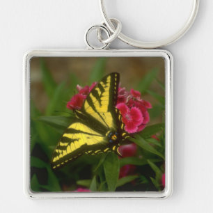 Porte-clés Machaon occidental de tigre (7)