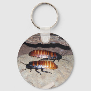 Porte-clés Madagascar Hissing Cockroach
