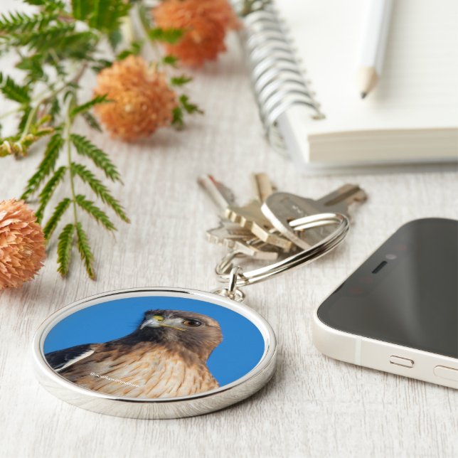 Porte-clés Magnifique Buse à queue rouge au soleil (Côté)