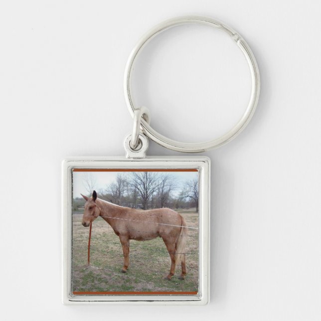 Porte-clés Magnifique Mule ! (Devant)