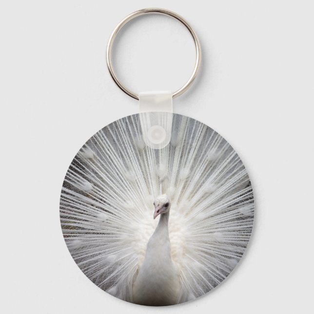 Porte-clés Magnifique paon blanc (Recto)