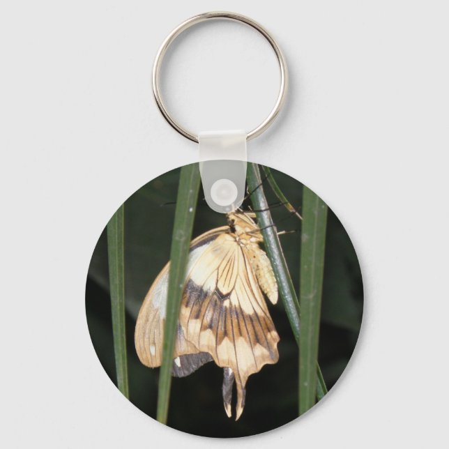 Porte-clés Magnifique Porte - clé Moth (Recto)