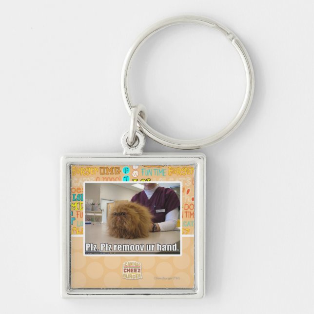 Porte-clés Main d'ur de remoov de PLZ (Devant)