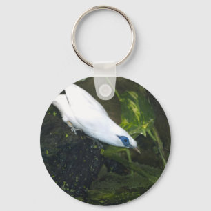 Porte-clés Mainate de Bali