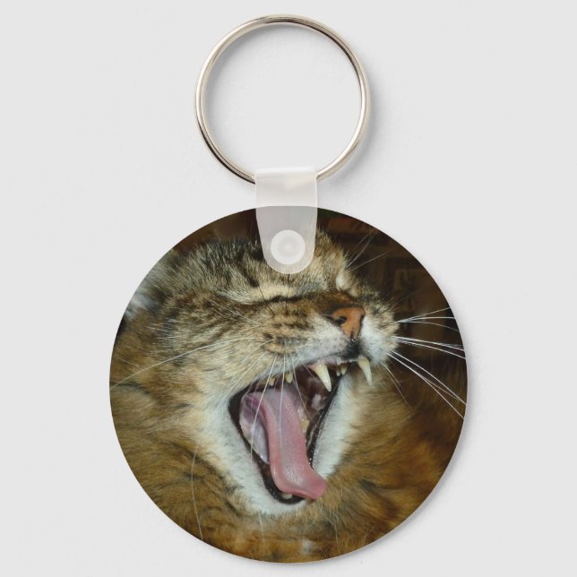 Porte-clés Maine coon 2 porte - clé (Recto)