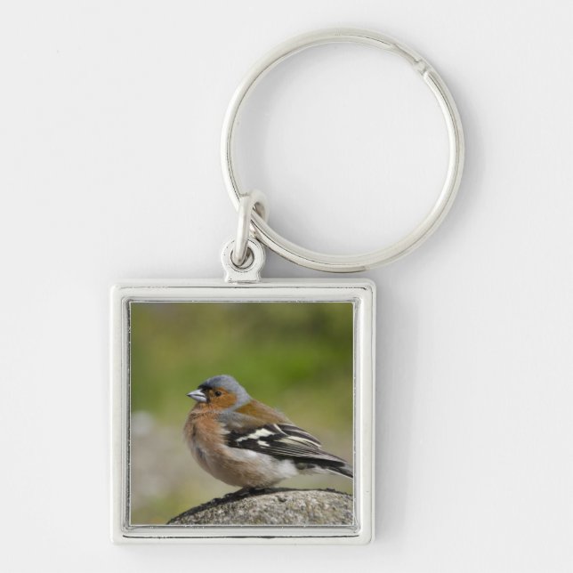Porte-clés Male Chaffinch (WILD: Fringilla coelebs) (Devant)