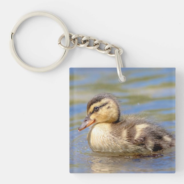 Porte-clés Mallard Duckling (Devant)