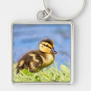 Porte-clés Mallard Duckling